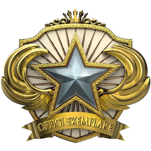 Médaille du service 2018 - 1