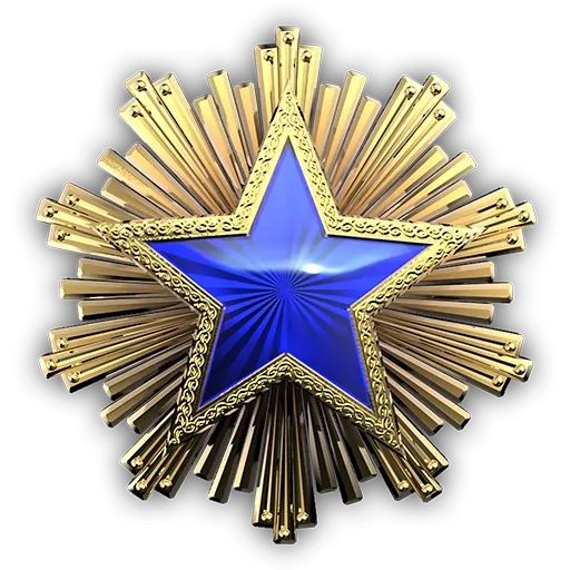 service_medal_2016_3