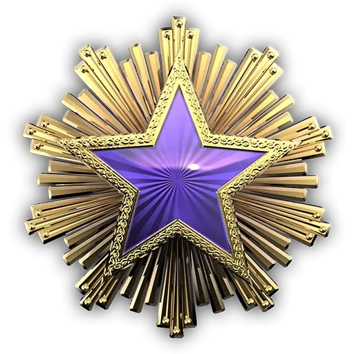 service_medal_2016_4