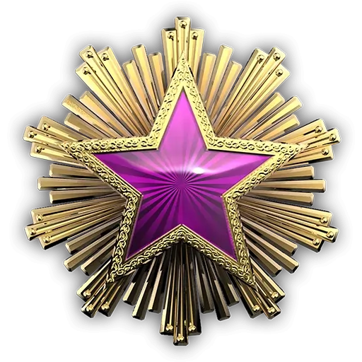 service_medal_2016_5
