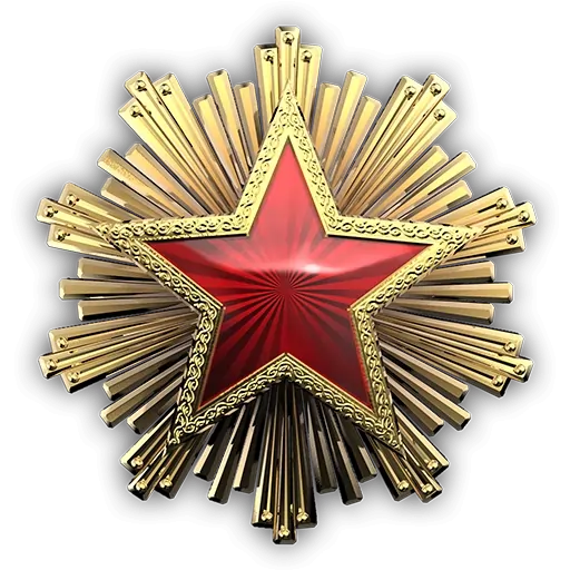 service_medal_2016_6