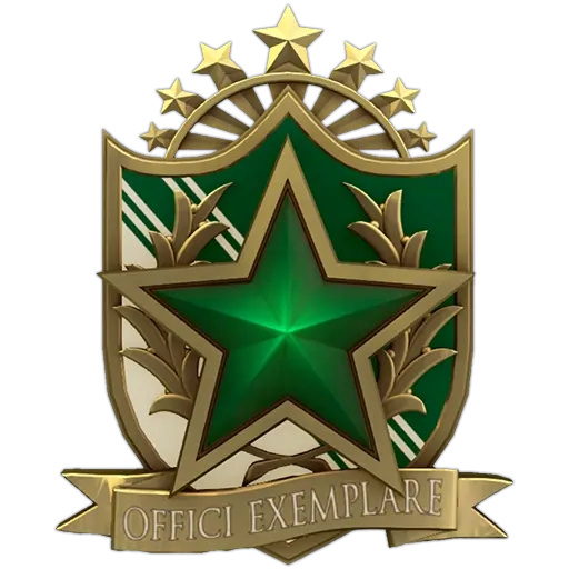 Service_Medal_2022_lvl2