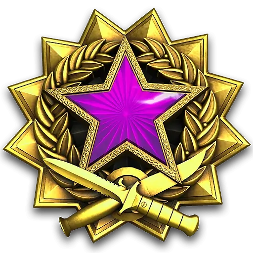 Service_medal_2017_lvl5