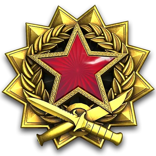 Service_medal_2017_lvl6