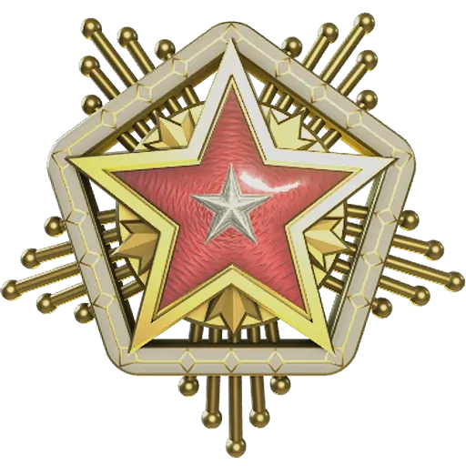 Service_medal_2024_lvl6