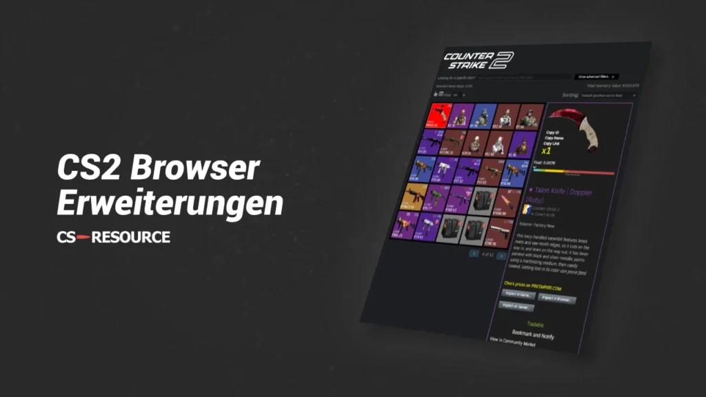 CS2 Browser Erweiterungen Vergleich