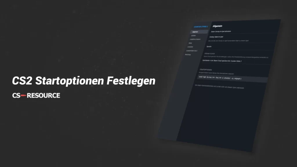 CS2 Startoptionen Festlegen (Mehr FPS)